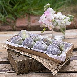 3DM速报：大地再裂变？《魔兽世界》更新发布会4月20日开启